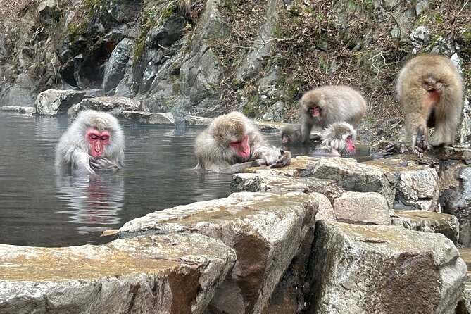 One Way Shuttle Van Transfer, Tokyo⇔Nagano - Good To Know