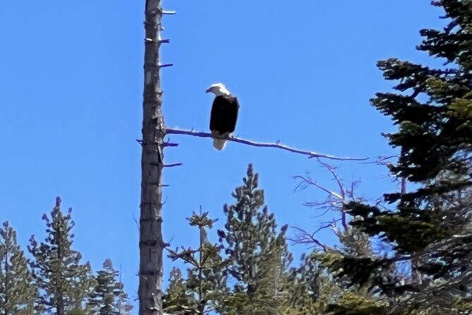 Private Boat Tour with Lunch on the Lake - Is This Tour Worth It?