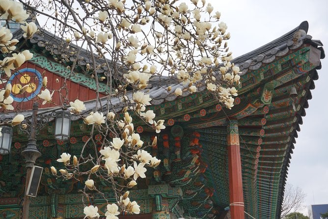 Private English Speaking Driver in Seoul: Airport Service Available - Cancellation Policy