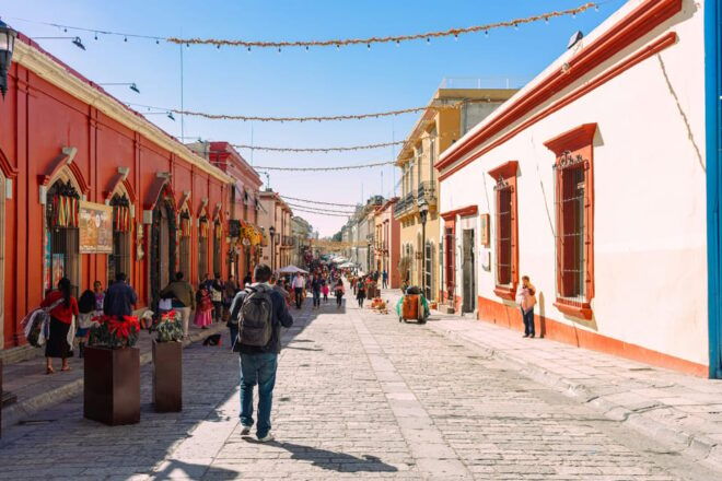 Private Oaxaca City Tour - Best Rated - Tour Highlights