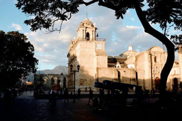 Private Oaxaca City Tour - Best Rated - Wandering the Zocalo