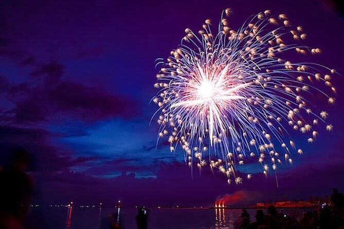 Private Sunset and Fireworks Dolphin Tour (6 people max) - Practical Details and What to Expect