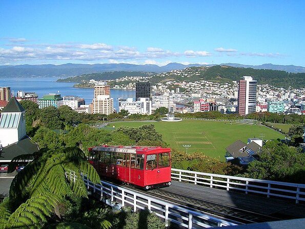 4 Best City Tours In Wellington