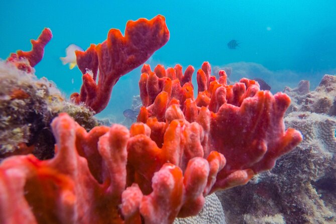 4 Best Shore Excursions In Palawan