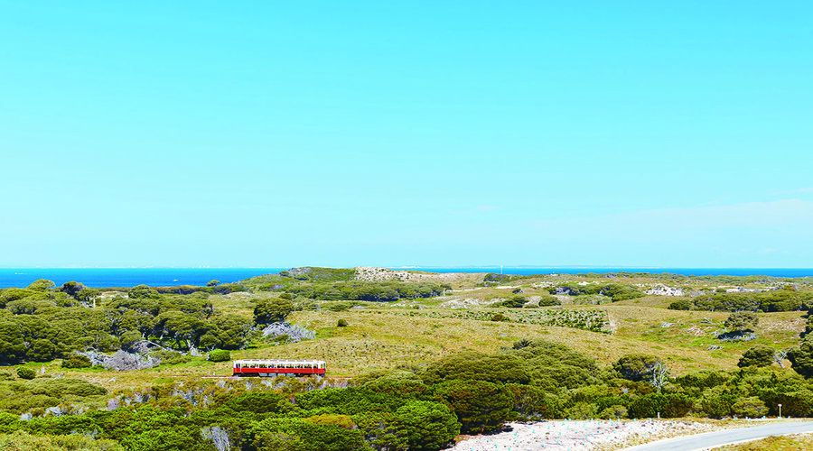Rottnest Island Grand Bus & Train Tour