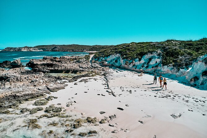 2 Best Guided Tours In Rottnest Island