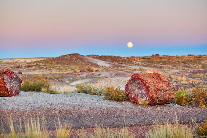 Self-Guided Audio Driving Tour in Petrified Forest National Park - Practical Considerations and Tips