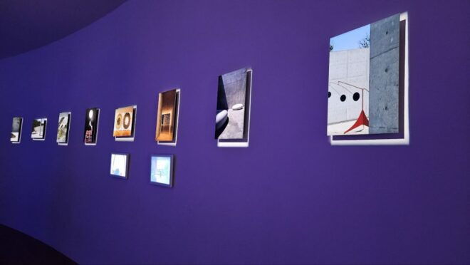 Seoul: Alpaca World, Museum SAN & Luge or Suspension Bridge - Alpaca World: A Close Encounter