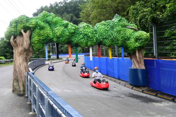 Seoul: Alpaca World, Museum SAN & Luge or Suspension Bridge - Common Questions