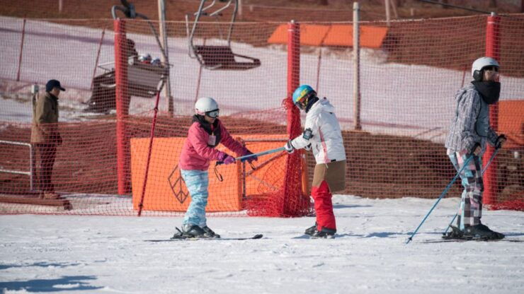 Seoul: Jisan Forest Ski Resort Day Trip (Transfers/ Lesson) - Experience Options