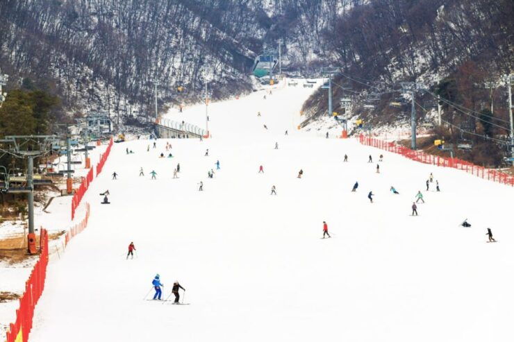 Seoul: Jisan Forest Ski Resort Day Trip (Transfers/ Lesson) - Meeting Points