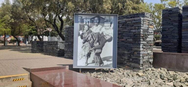 Soweto and apartheid museum tour(Half-day) - The Practicalities & What You Get  
