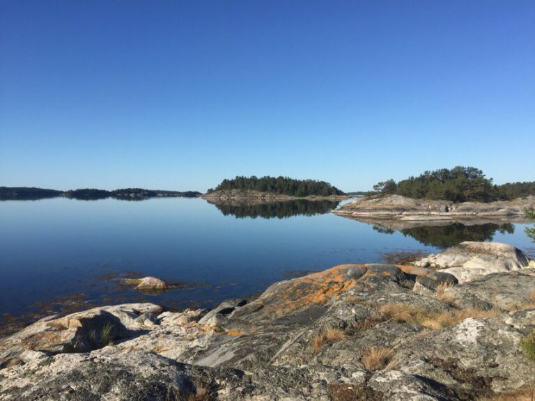 Stockholm: Morning Kayak Tour in the Archipelago with Lunch - Detailed Breakdown of the Itinerary