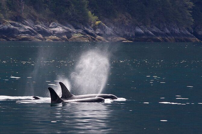 Tales & Tides: Alaskan Lore & Wildlife Cruise - Why This Tour Works Well for Travelers