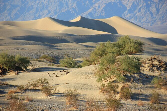 Tour with French Guide of Death Valley - Pricing and Value Analysis