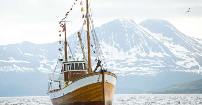 Tromsø: Fjord Fishing Cruise - The Itinerary: What to Expect from Start to Finish