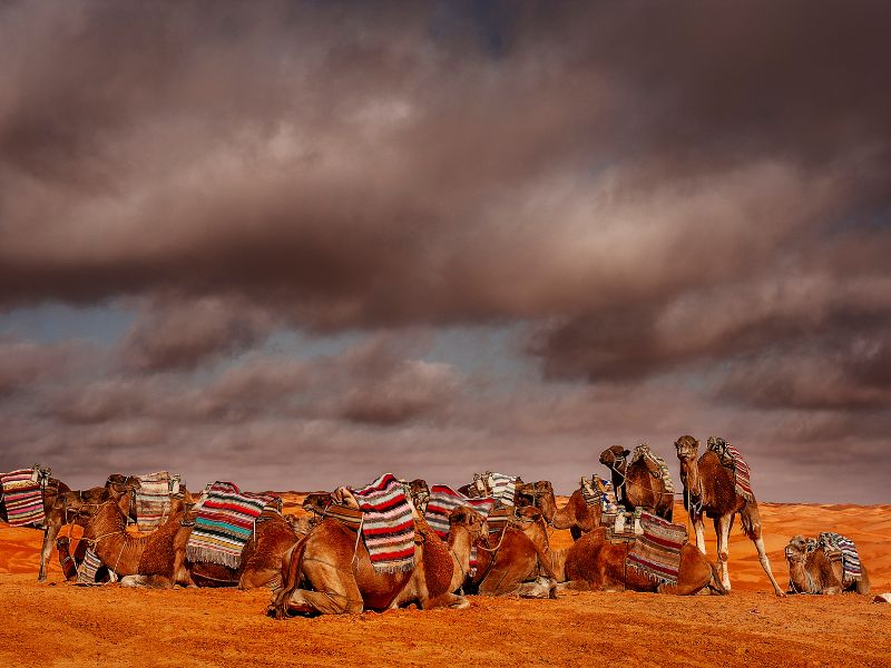 Tunisia Sahara