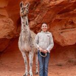 Valley of Fire Llama Hikes - What the Tour Entails
