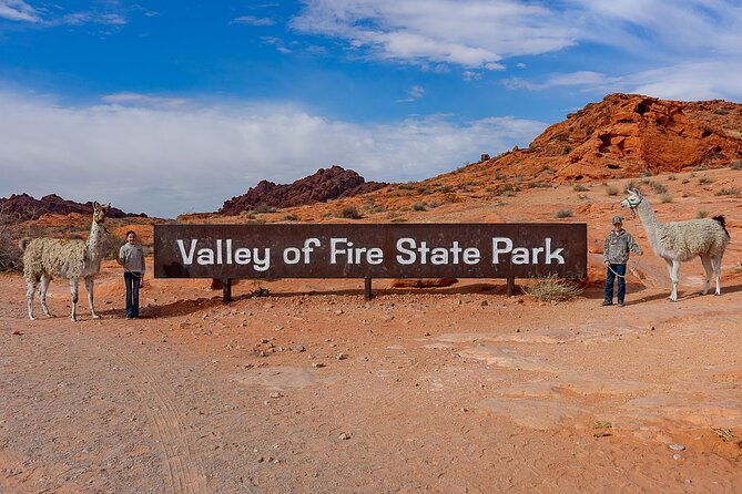 Valley of Fire Llama Hikes - Practical Details: What You Need to Know