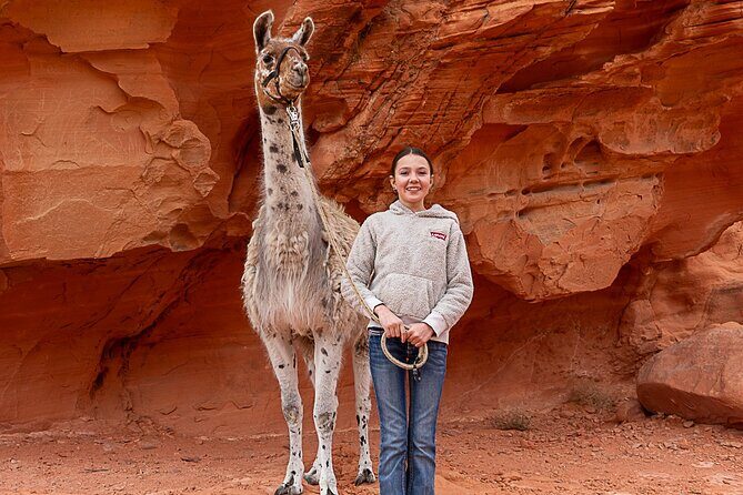 Valley of Fire Llama Hikes - What the Tour Entails