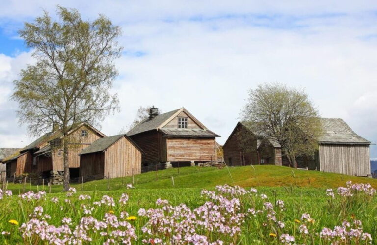 Voss: Folk Museum Entry Ticket - Guided Tours and Cultural Demos