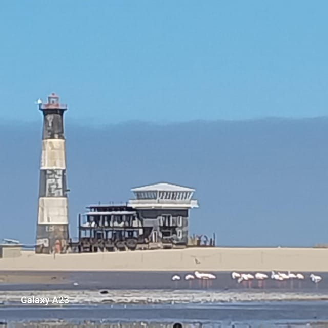 Walvis Bay: Catamaran Cruise and Sandwich Harbour Tour - An In-Depth Look at the Walvis Bay: Catamaran & Sandwich Harbour Tour