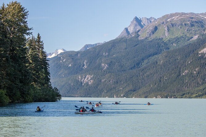 Wilderness Kayak Adventure in Haines - Who Will Love This Tour?