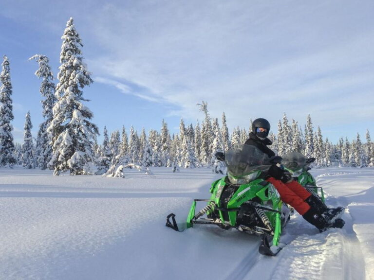 Wilderness Tour with Snowmobile & Ice Fishing - Snowmobiling Through Arctic Landscapes