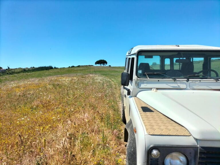 Winery, Tastings & 4WD Vineyards: Half-Day Trip from Lisbon - The Itinerary Breakdown: What to Expect