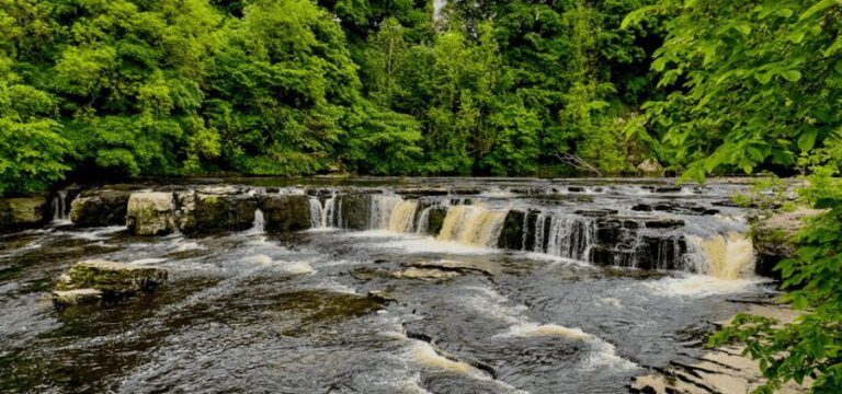Yorkshire Dales National Park Driving Tour with an APP - Practical Details and Tips
