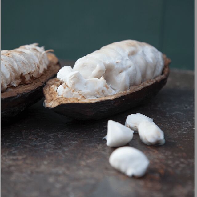 Zaandijk: Chocolate making demonstration & tasting - Why This Tour Works for You