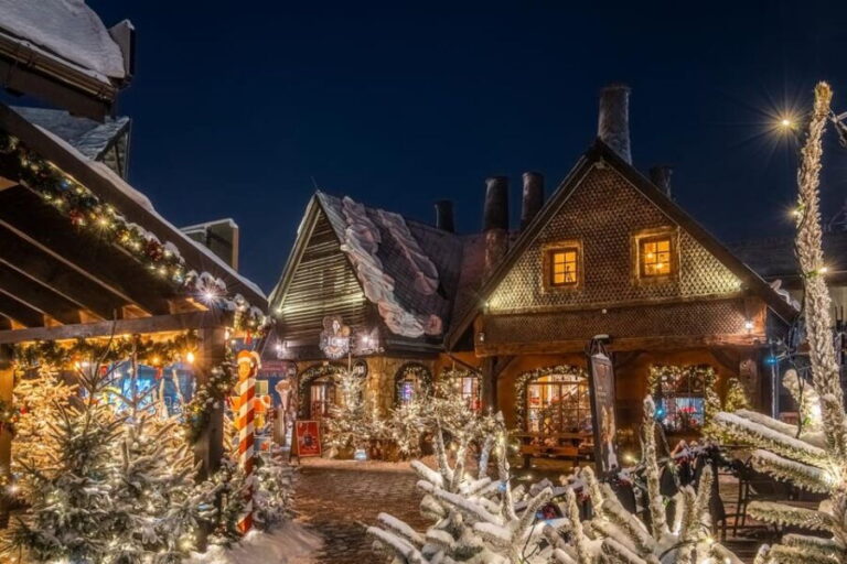 Zator: Energylandia Amusement Park Entry Ticket - What You Can Expect During Your Visit