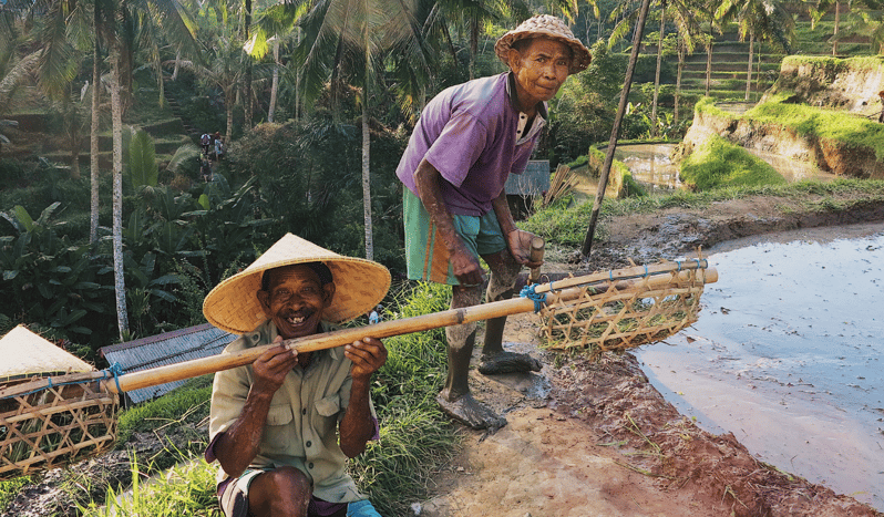 Bali : Full Day Tour With Private Car in Ubud