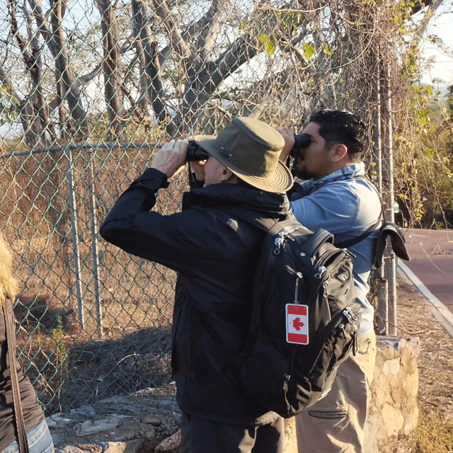 Ixtapa: Bird Watching Tour With Round-Trip Transportation